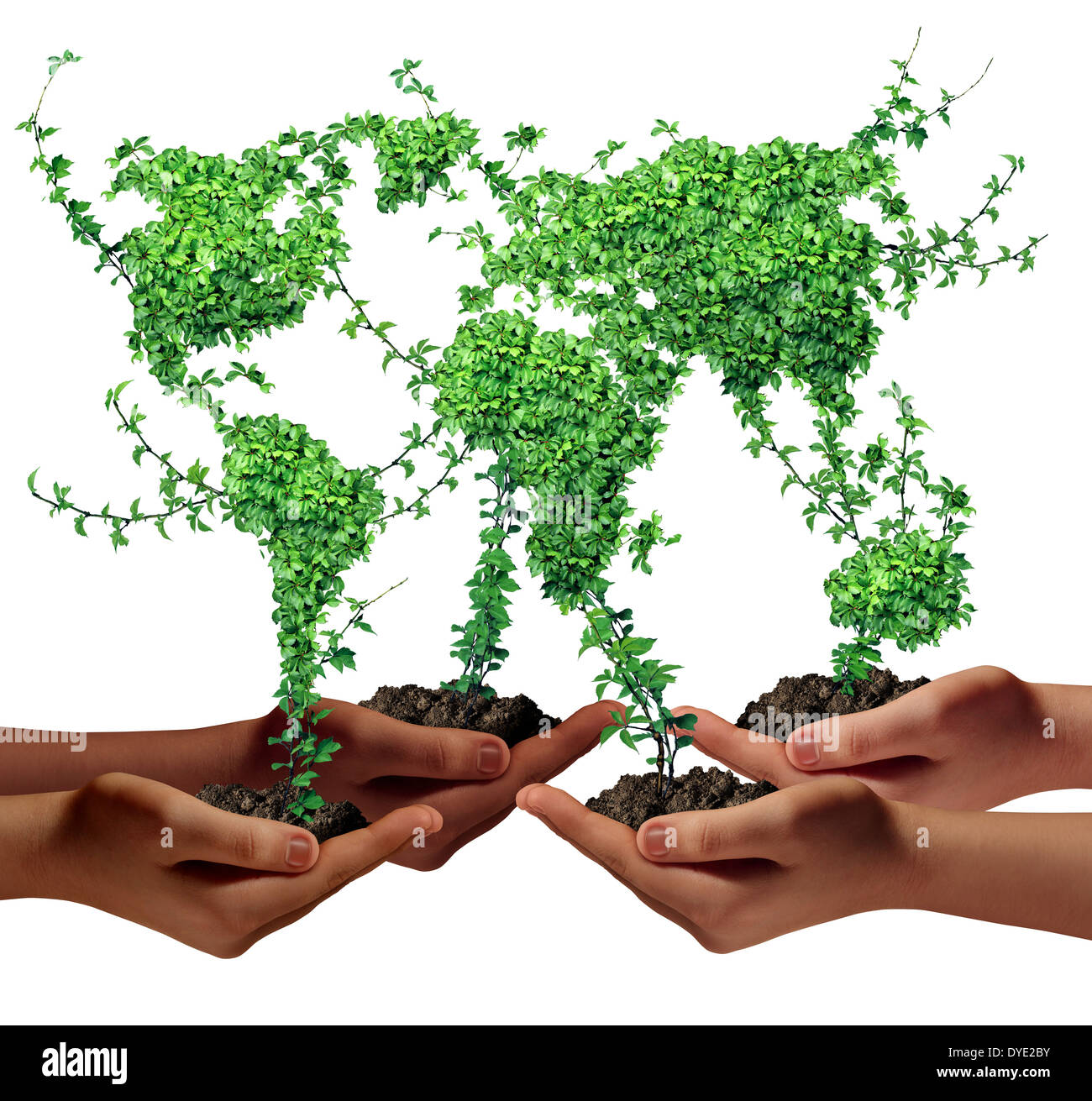 Medio ambiente y desarrollo empresarial de la comunidad concepto como un  grupo de personas de etnia mundial manos sosteniendo las plantas verdes con  hojas en forma de el mundo como una metáfora
