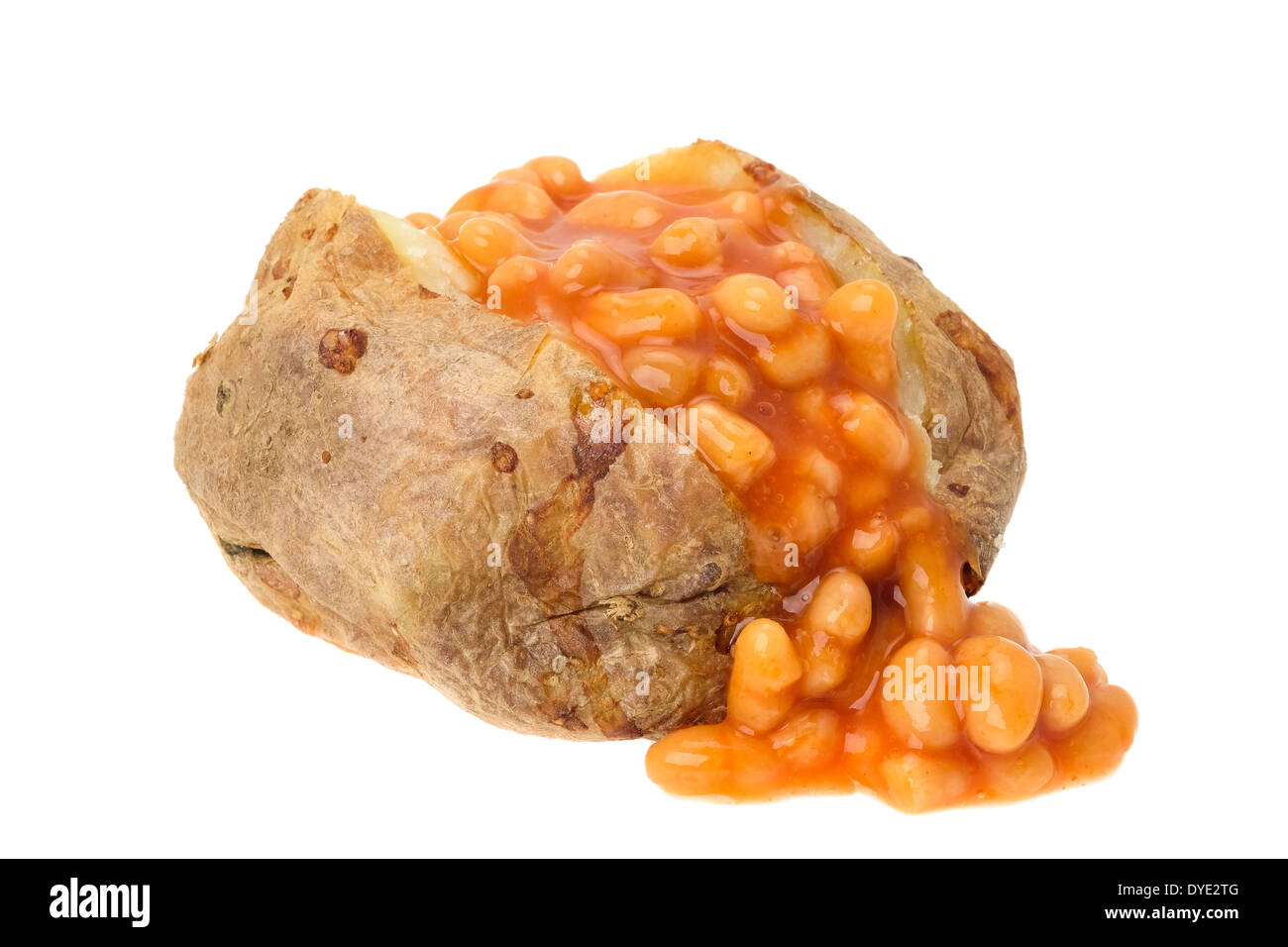 Chaqueta caliente Patata rellena con baked beans - Foto de estudio con un fondo blanco. Foto de stock