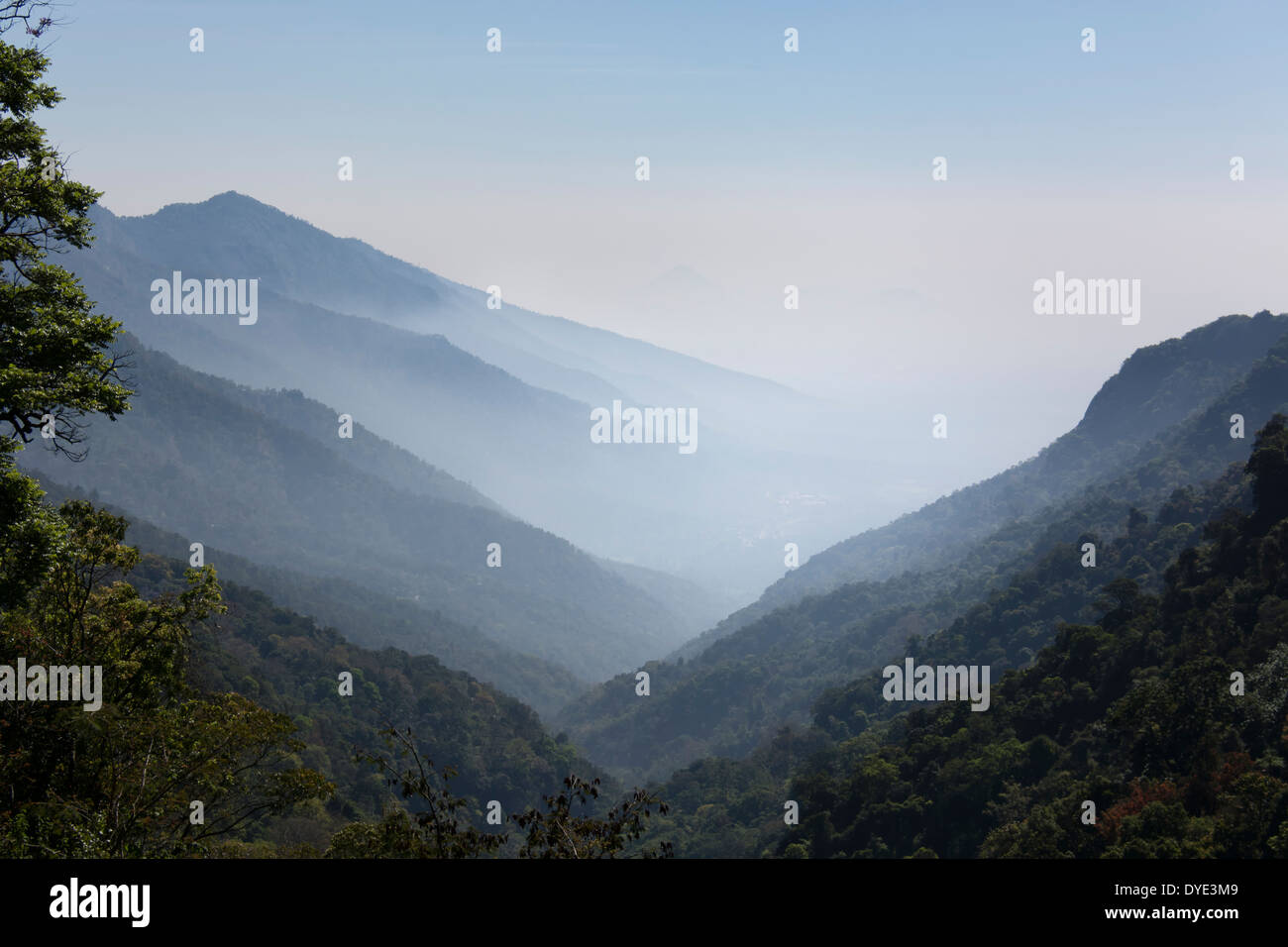 Por la mañana vista a través de las colinas de Nilgiri, en Tamil Nadu, India Foto de stock