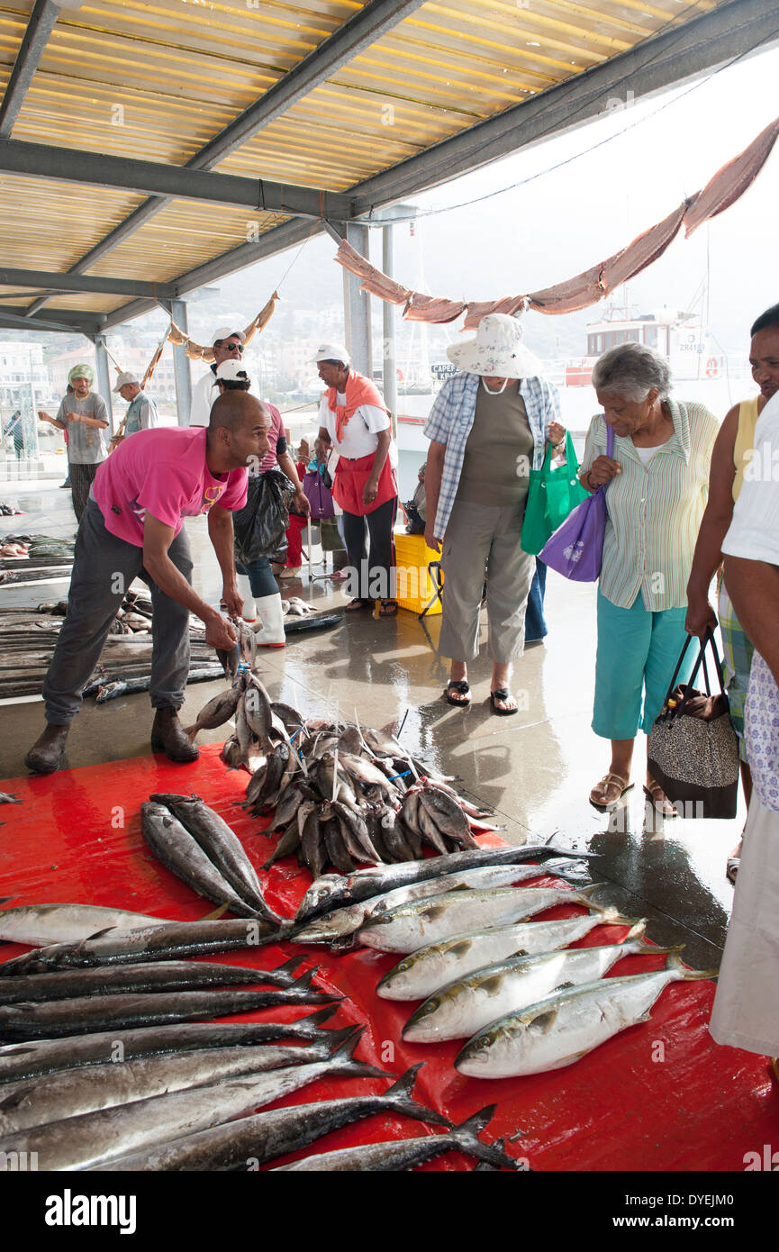 Vendedor venta de pescado fresco en el mercado de puerto de Kalk Bay, Western Cape, Sudáfrica Foto de stock