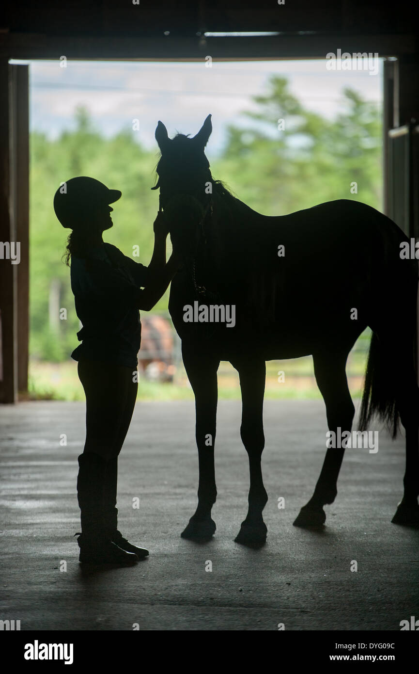 Silueta de caballos fotografías e imágenes de alta resolución - Alamy