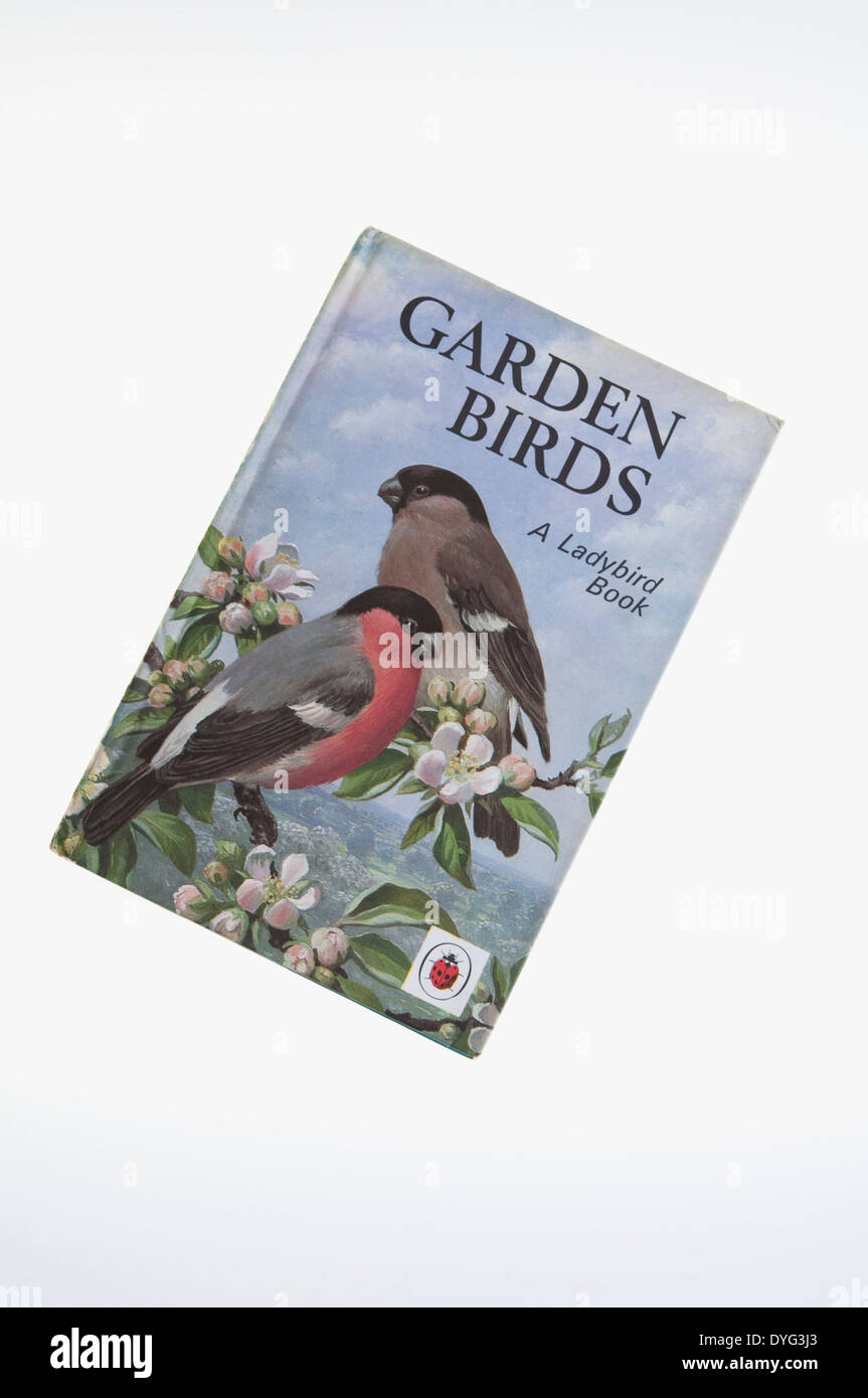 Los pájaros del jardín - Información de niños mariquita - Libro escrito e ilustrado por John Leigh-Pemberton. Publicado en 1967. En el Reino Unido. Foto de stock