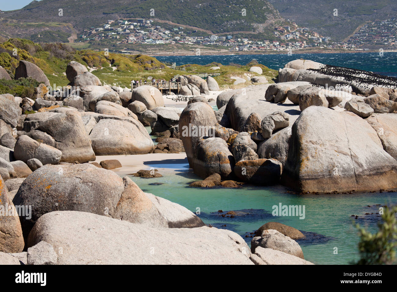 La playa Boulders cerca de Simon's Town, Ciudad del Cabo, Western Cape, Sudáfrica Foto de stock