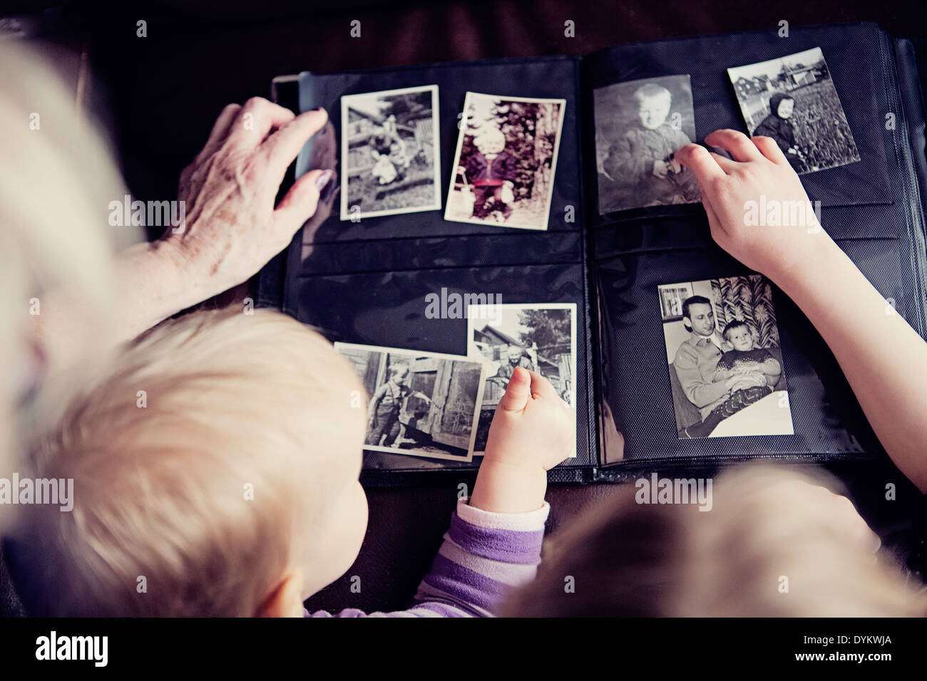 Multi-generacional familia mirando a través de las fotografías en ...