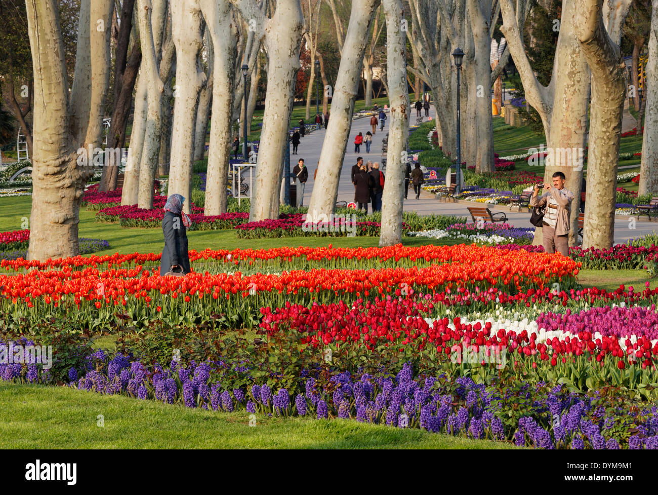 Tulip camas, Parque Gülhane, Sarayburnu, Estambul, Turquía, del lado europeo Foto de stock
