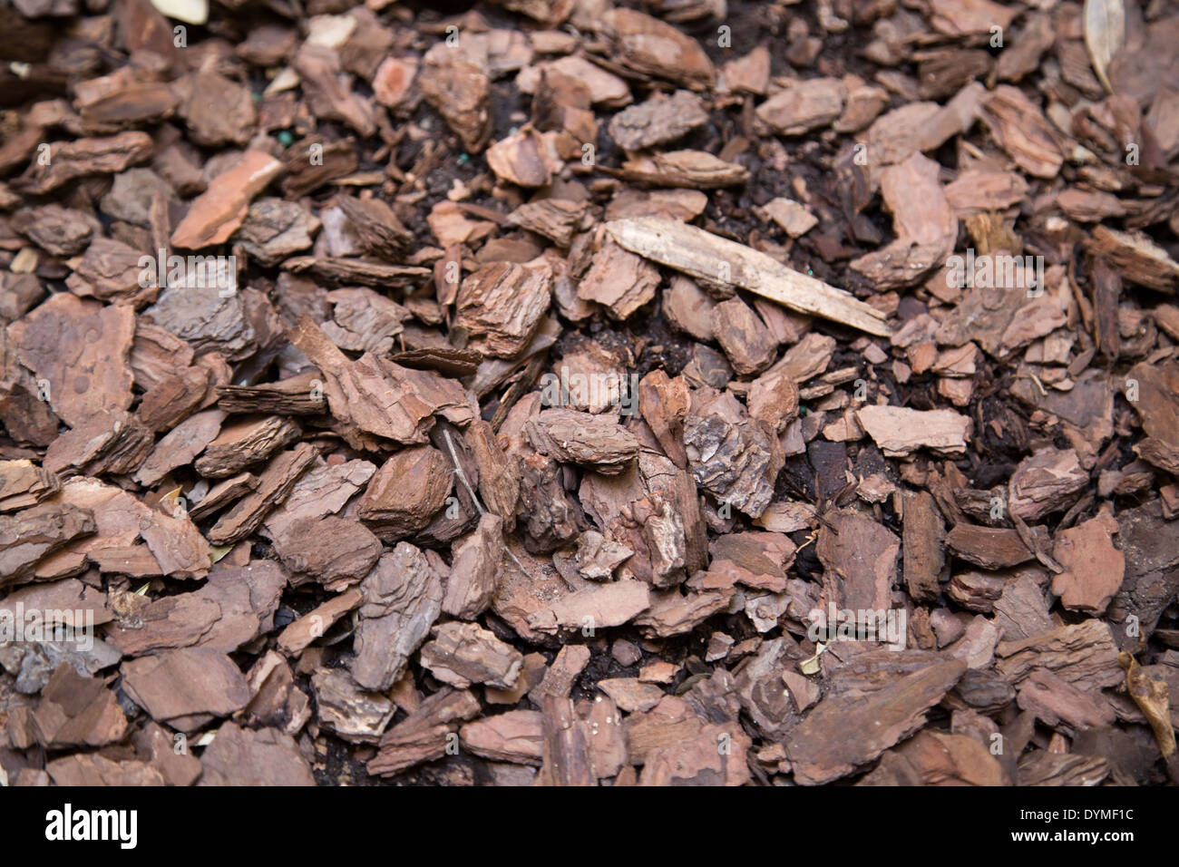 Mantillo de paisaje fotografías e imágenes de alta resolución Alamy