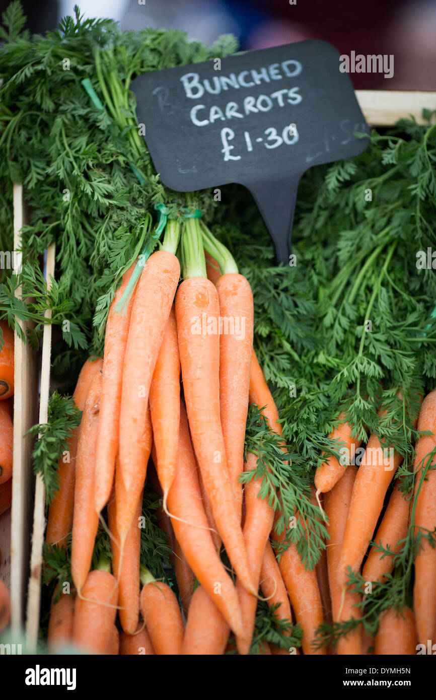 Zanahorias para la venta en el Lowry Outlet Mall en la ciudad de los medios de comunicación lanzamiento BRITÁNICO Manchester Salford Gtr Garden Tea Party Foto de stock