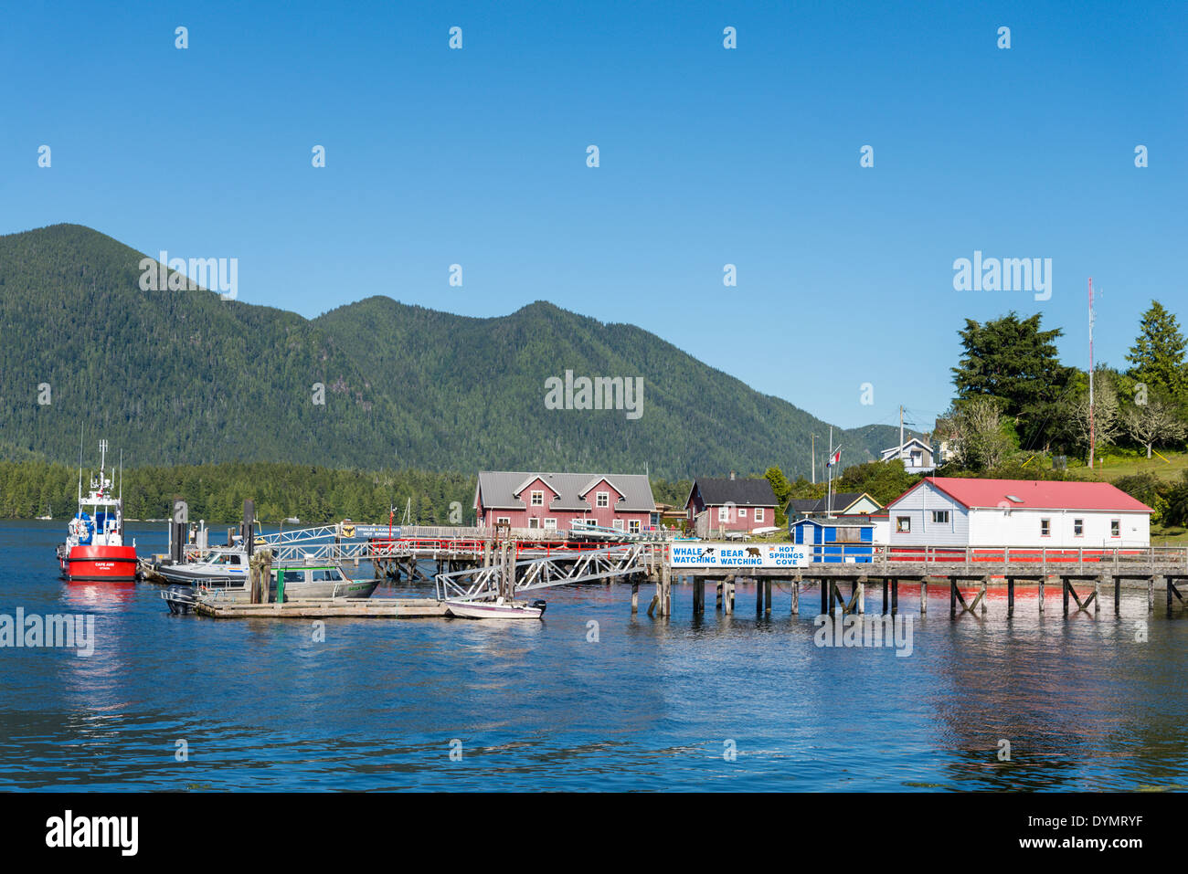 Muelles de barcos, Tofino, Vancouver Island, British Columbia, Canadá Foto de stock