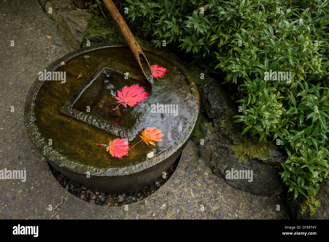 Pool Zen n el Jardín Japonés, los Jardines Butchart, Brentwood Bay, Isla de Vancouver, British Columbia, Canadá Foto de stock