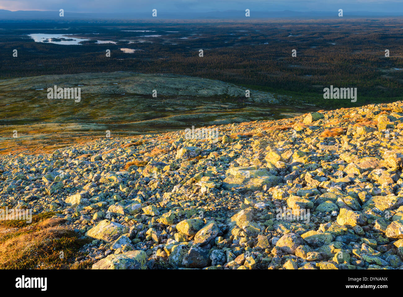Scénic con dirección paisaje de montaña, Dalarna, Suecia Foto de stock
