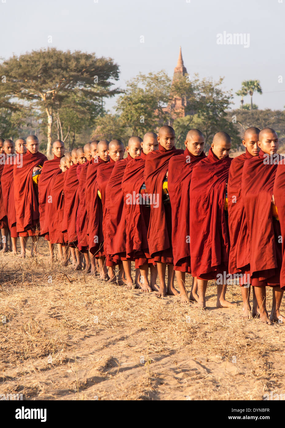 Una línea de monjes de salir a mendigar su comida diaria de las aldeas. Foto de stock