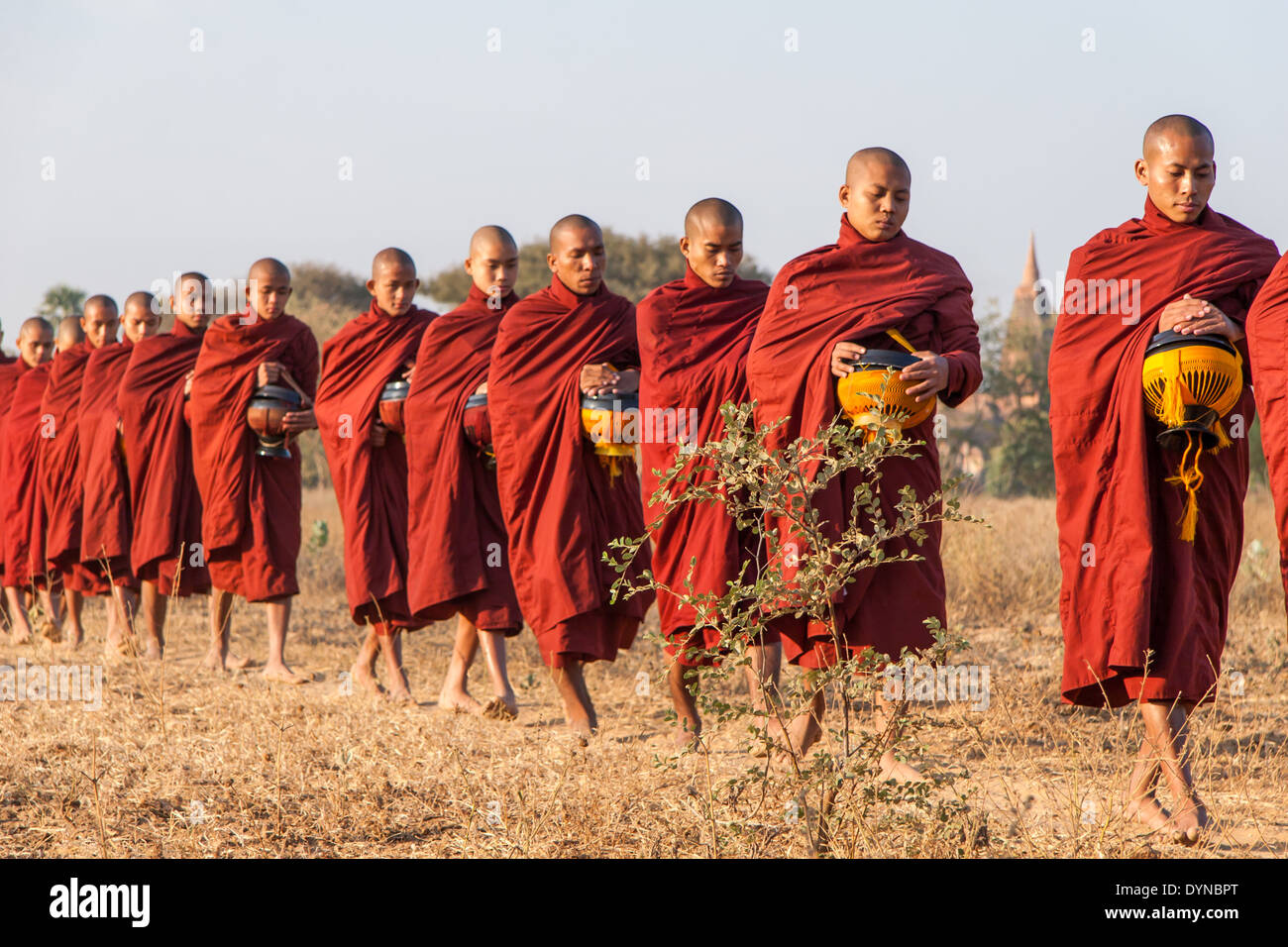 Una línea de monjes de salir a mendigar su comida diaria de las aldeas. Foto de stock