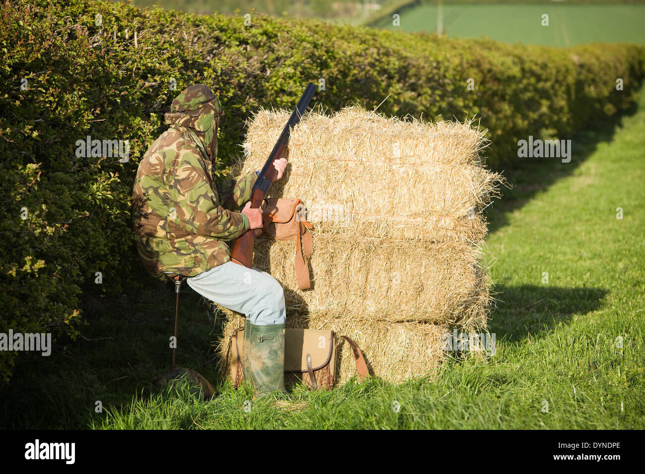 Un hombre vestidos de camuflaje escondiéndose detrás de las balas de paja con una escopeta Foto de stock