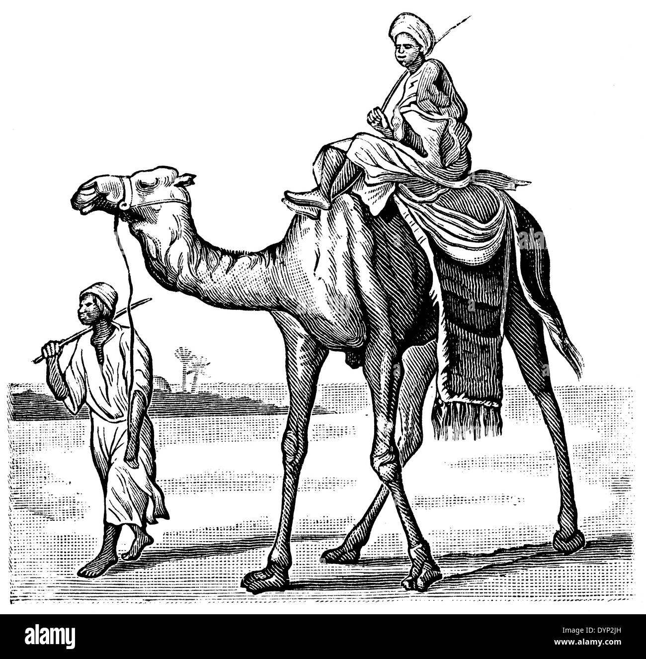 El montar a caballo del camello, el Norte de África, la ilustración de la Enciclopedia soviética, 1926 Foto de stock