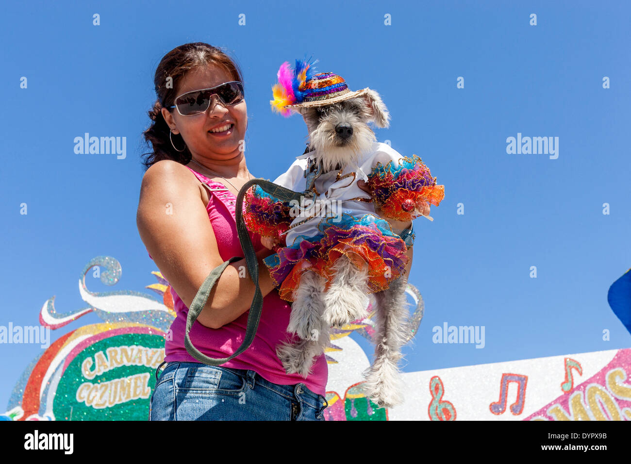 Un perro en disfraz de carnaval durante el carnaval de Cozumel, la isla de  Cozumel, México Fotografía de stock - Alamy