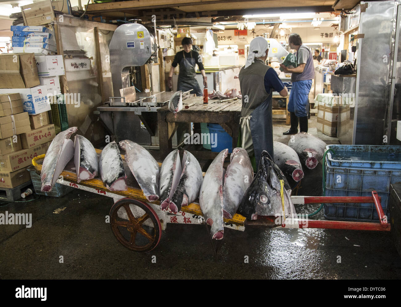 Atún esperar para su procesamiento ulterior en el mercado Tsukiji de Tokio Foto de stock