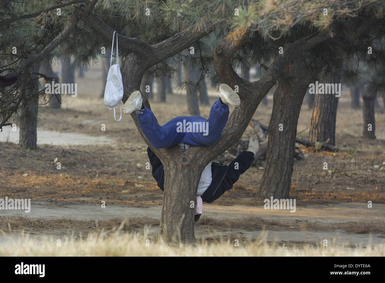 Un hombre hacer su ejercicio matinal en un parque Foto de stock