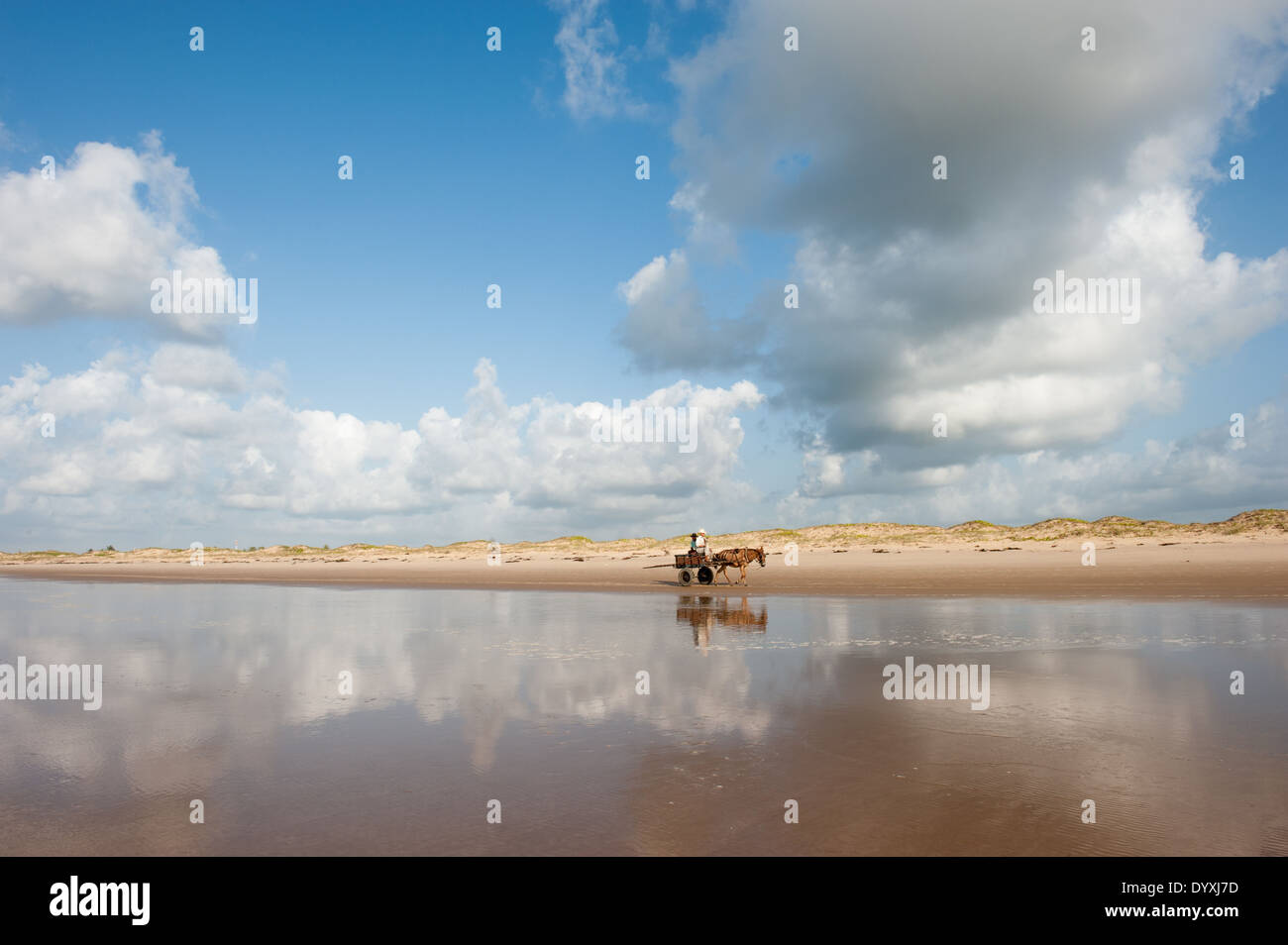 Pirambu, Sergipe, al noreste de Brasil. Dos hombres en un caballo y el carro sobre una playa vacía con nubes reflejados en el mar. Foto de stock