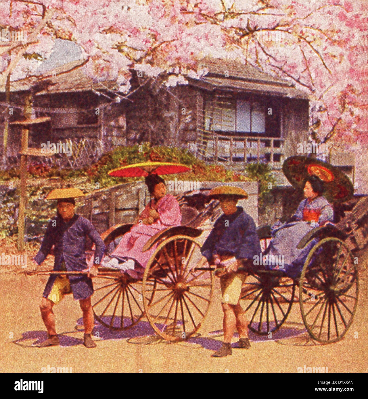 Esta escena en el Japón se remonta a 1909. Muestra jinrikisha hombres durante el tiempo de flor de cerezo. Foto de stock