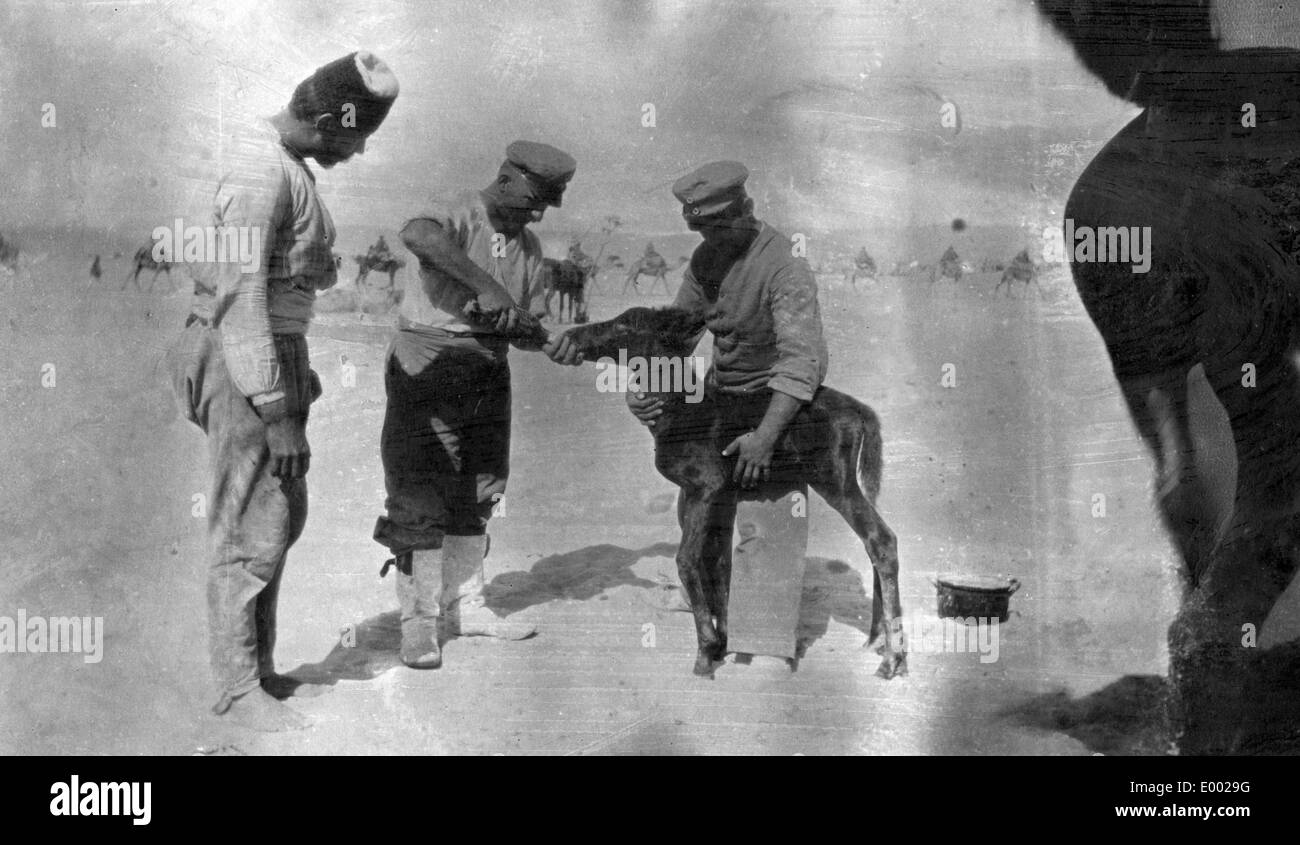 Las tropas alemanas en el oriente, 1917 Foto de stock