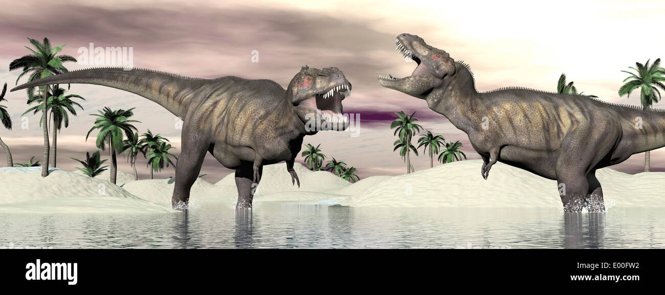 Dos Tyrannosaurus rex dinosaurios luchando en el agua Fotografía de stock -  Alamy
