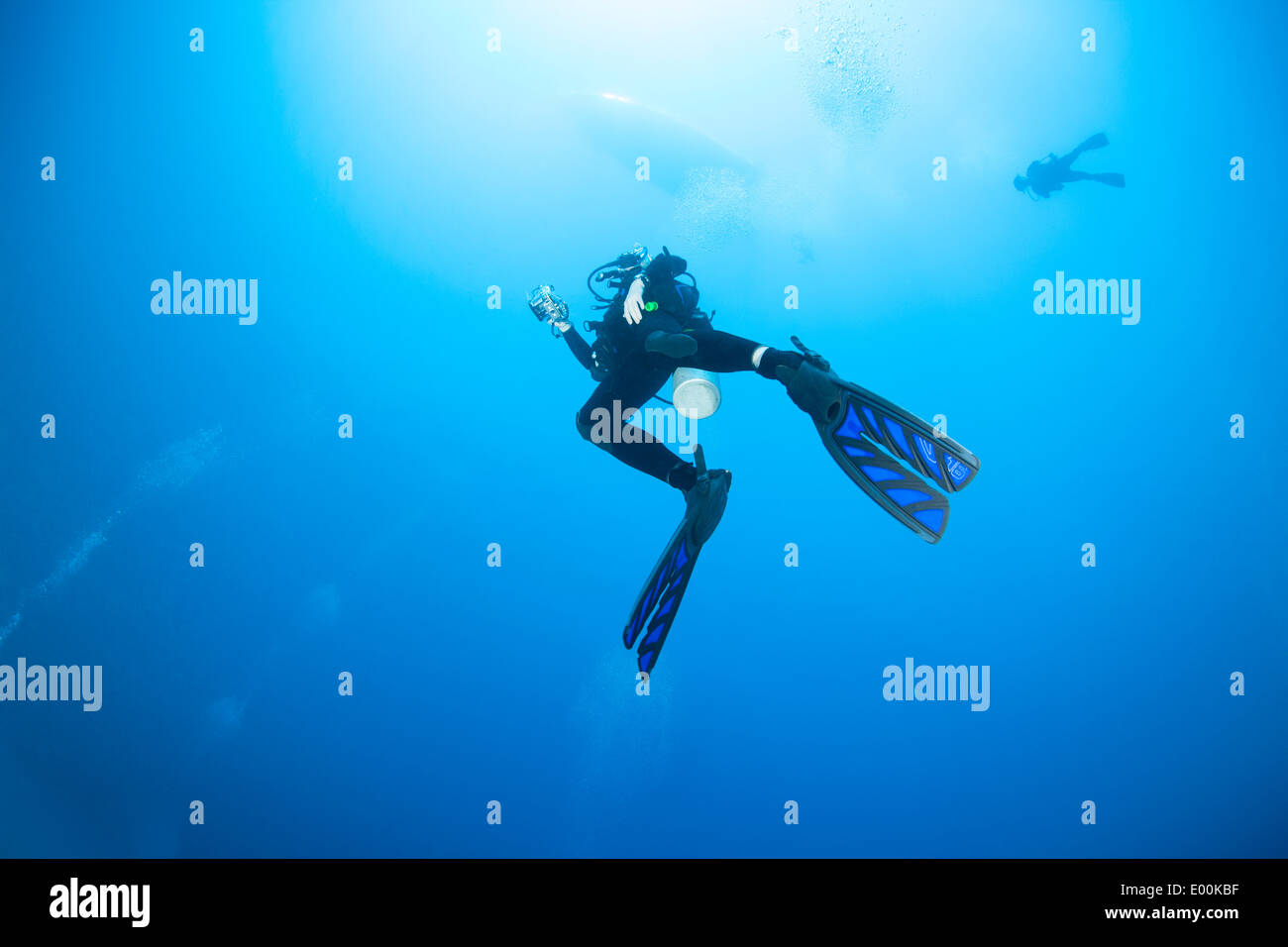 Scuba Diver realizar un tope de seguridad debajo de un barco de buceo fuera de Roatan, Honduras. Foto de stock