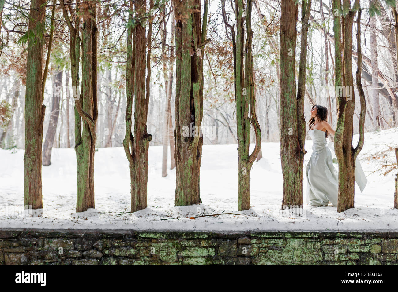 Una mujer con un vestido de fiesta al aire libre en la nieve. Foto de stock