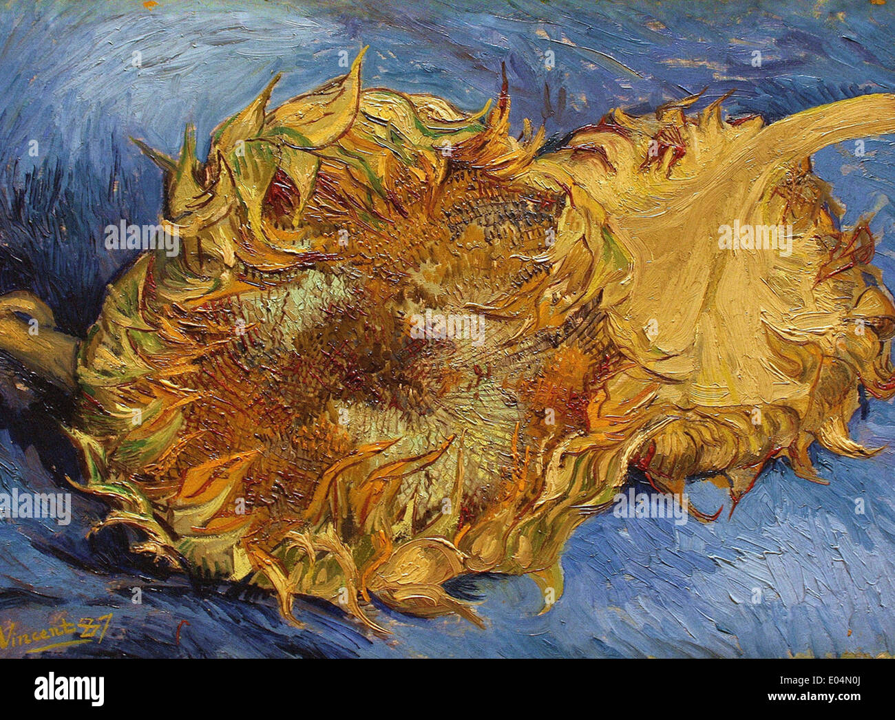 Vincent van Gogh Girasoles 5 Foto de stock