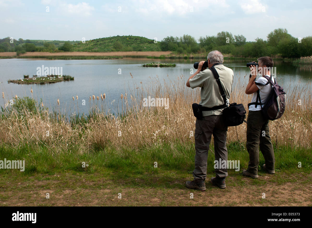 Los observadores de aves en Middleton Lagos reserva RSPB, Warwickshire, Inglaterra, Reino Unido. Foto de stock