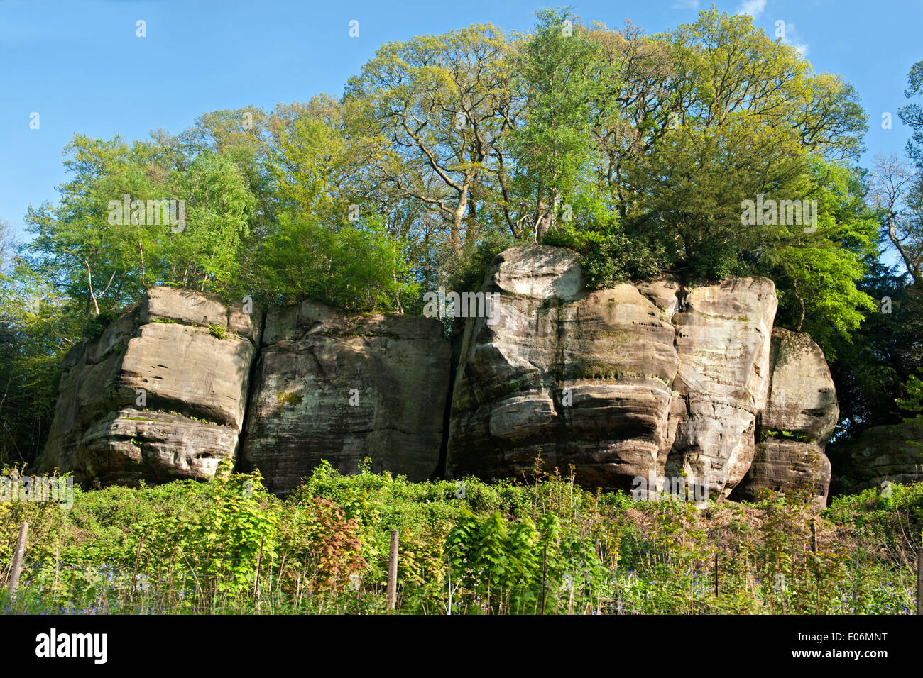 Afloramiento de roca de piedra arenisca, rocas altas en Tunbridge Wells, UK Foto de stock
