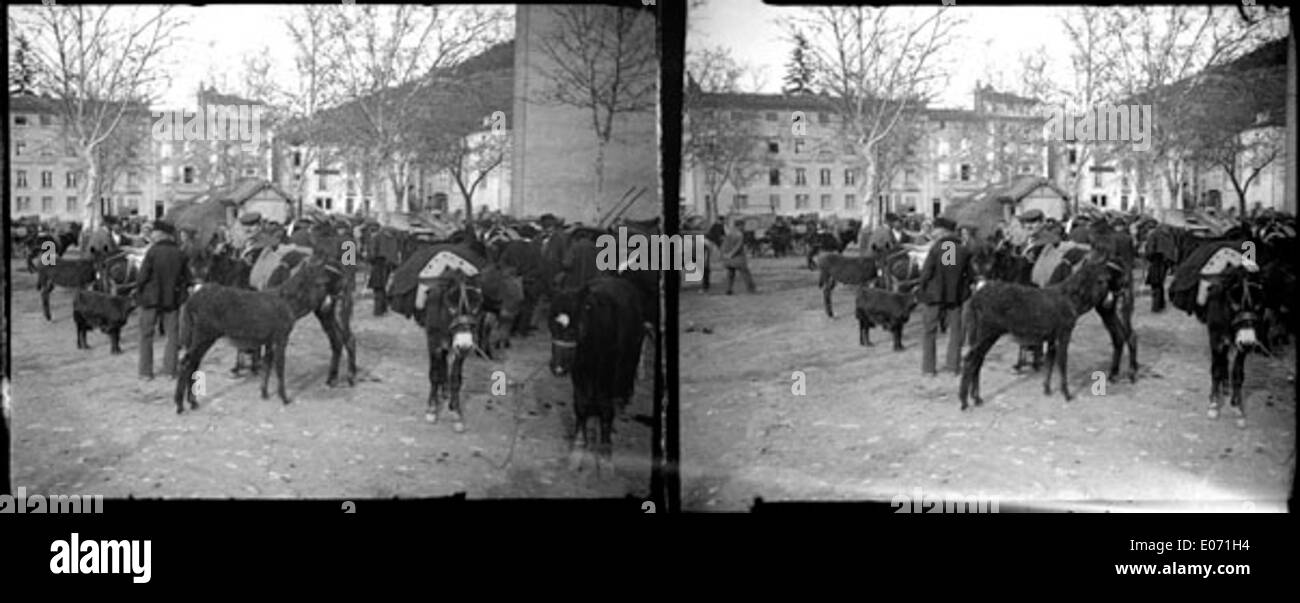 A la foire, Foix, novembre 1905 Foto de stock