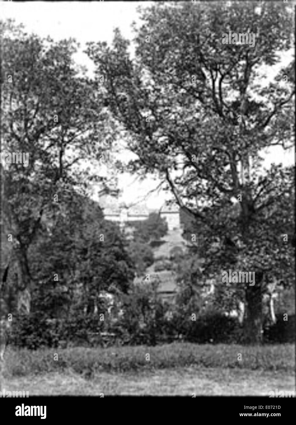 Parc du Château de Pesteils, Polminhac, Cantal, 15 août 1898 Foto de stock