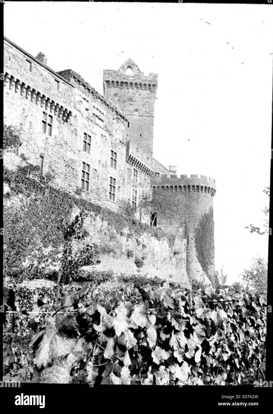 Vue d'un château fortifié avec fachada sur vignoble Foto de stock