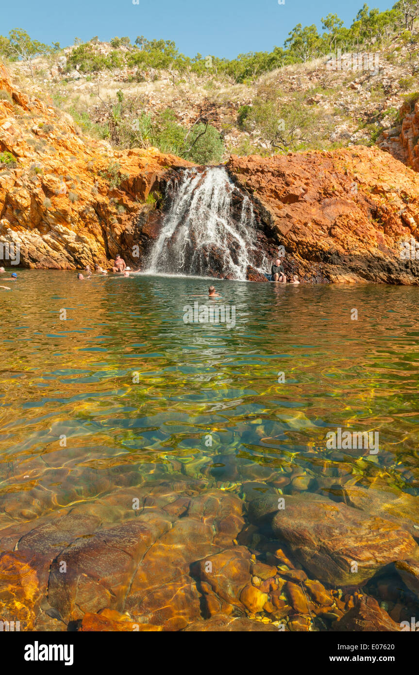 Cascada de cocodrilo fotografías e imágenes de alta resolución - Alamy