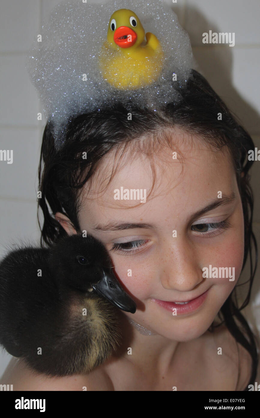 Chica y su mascota real Cayuga duckling tener una bañera, patito niñas sentados en el hombro, el tiempo del baño, REINO UNIDO Foto de stock