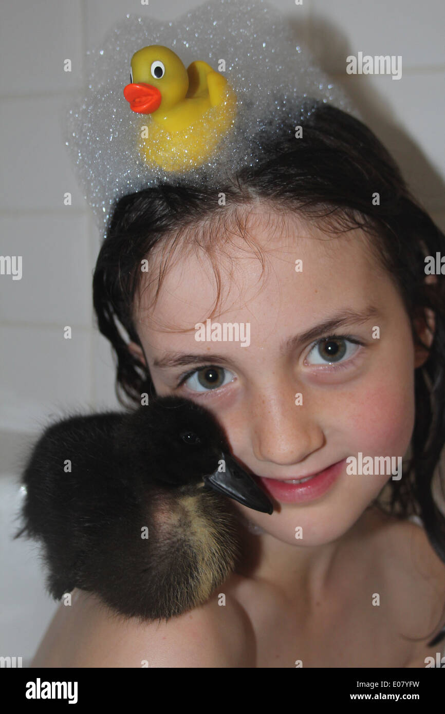 Chica y su mascota real Cayuga duckling tener una bañera, patito niñas sentados en el hombro, el tiempo del baño, REINO UNIDO Foto de stock
