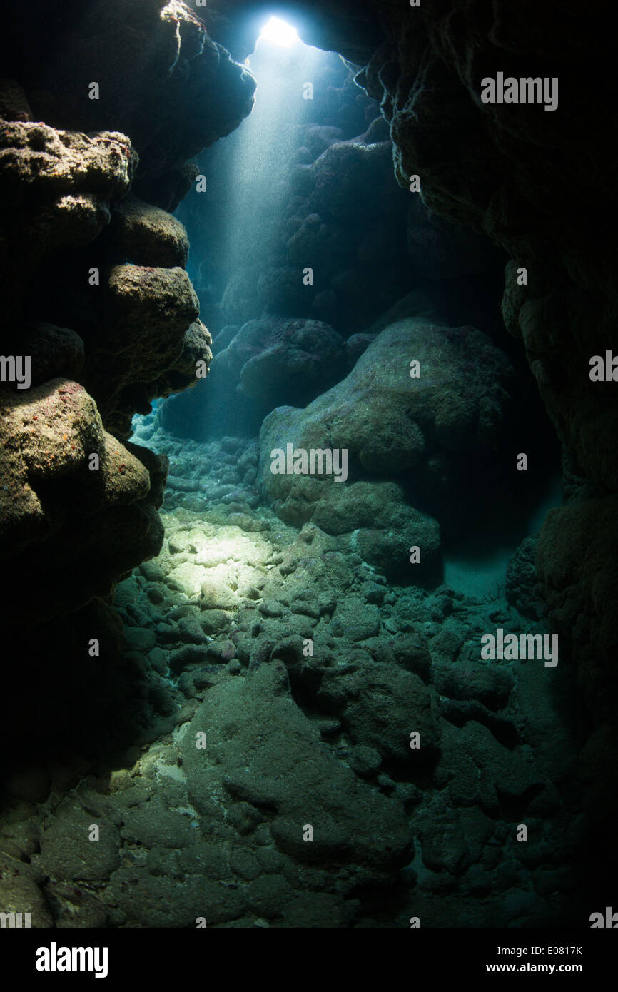 Una caverna submarina fuera de Roatan, Honduras. Foto de stock