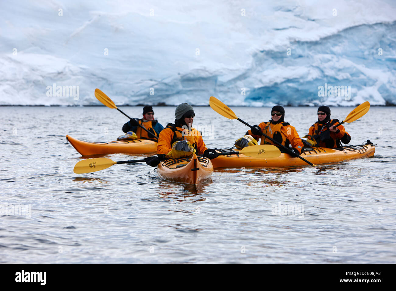 Grupo de kayakistas de mar en puerto Lockroy Antártida Foto de stock