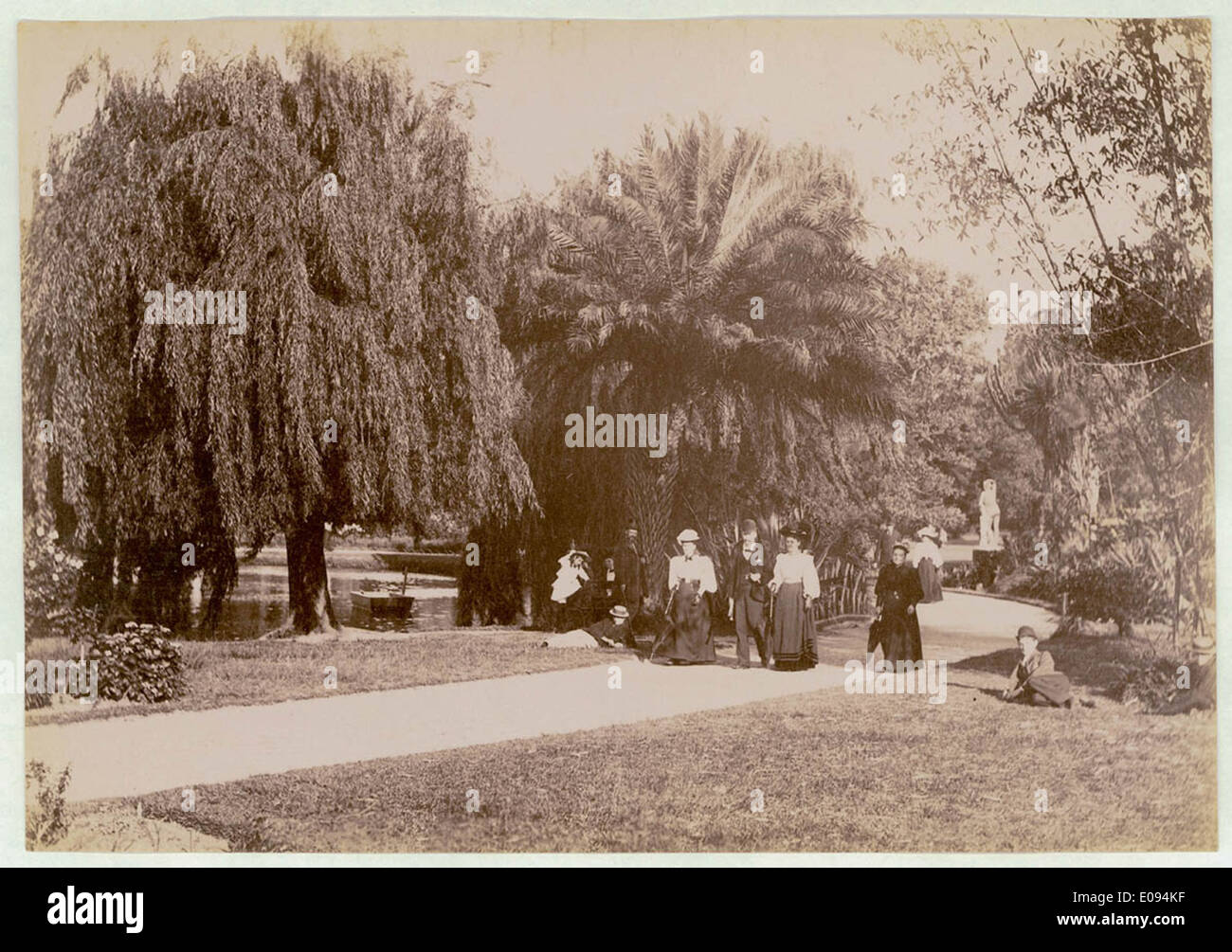 Jardines Botánicos, Sydney, c. 1900-1910 Foto de stock