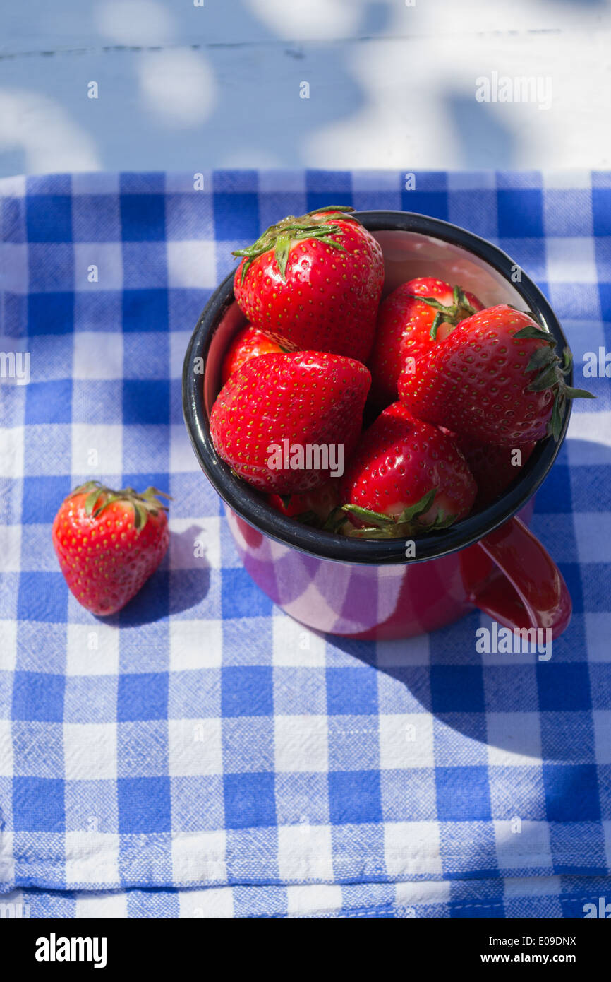 Un pequeño bote rojo llena de fresas, uno más fresa y cuchara en un té a cuadros azul y blanco toalla. Foto de stock