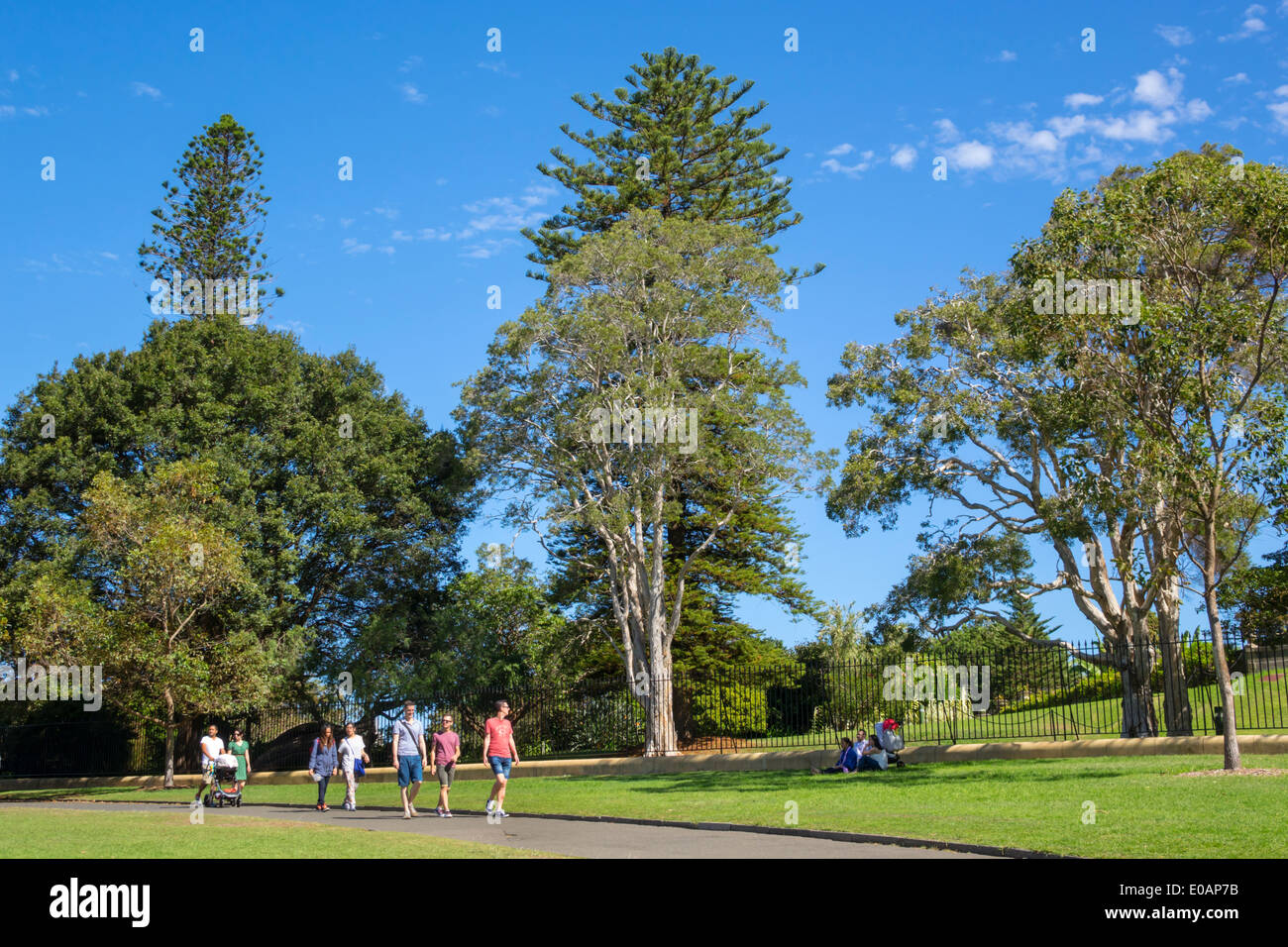 Sydney Australia,Royal Botanic Gardens,hombre hombres,mujer mujer mujeres,familia padres padres hijos niños,caminar,camino,árboles,parque,AU1403090 Foto de stock
