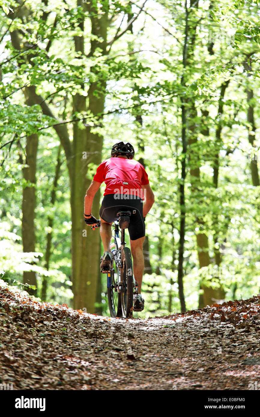 Jefe deportivo con bicicleta de montaña en el bosque, Senior Sportlicher  mit Mountain Bike Fahrrad im Wald Fotografía de stock - Alamy