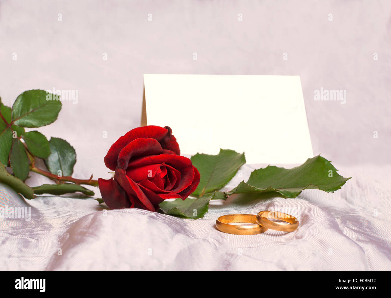 Bonita rosa roja y anillo de bodas con tarjeta. Foto de stock