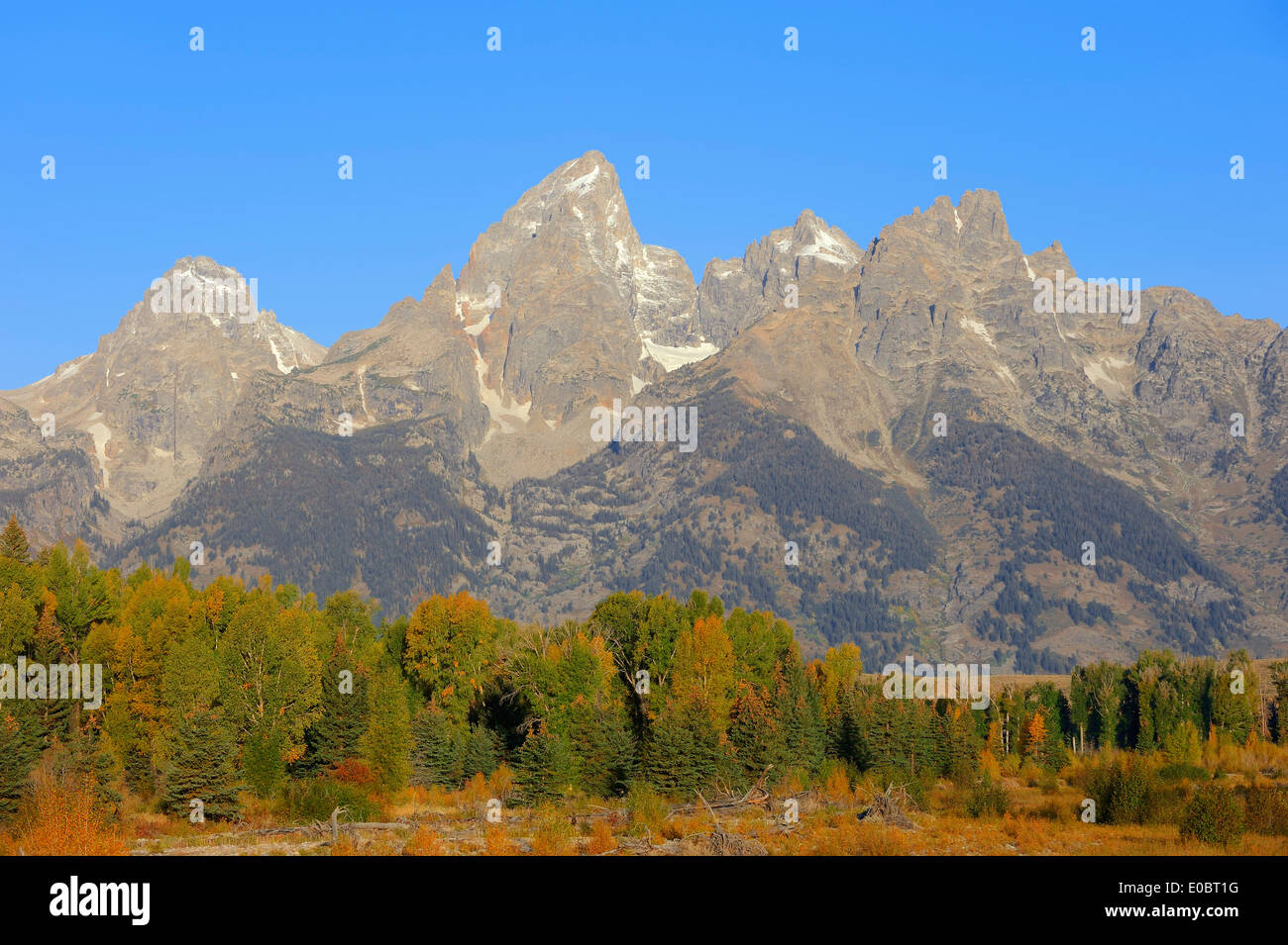 En el otoño de la Cordillera Teton, parque nacional Grand Teton, Wyoming, EE.UU. Foto de stock