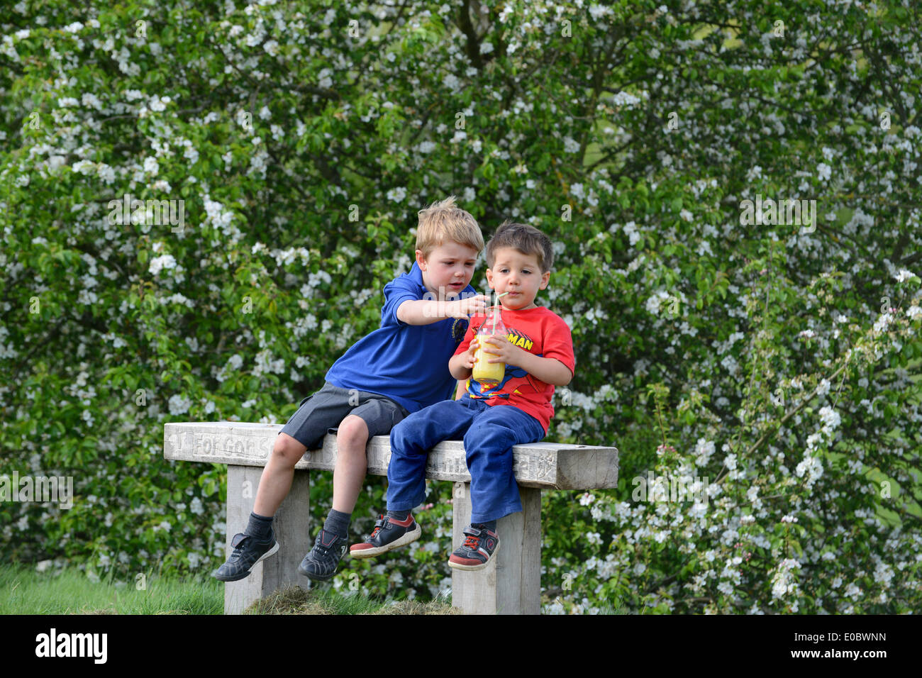 Dos niños hermanos compartiendo bebida en un banco de un parque cerca de árbol en flor Uk Foto de stock