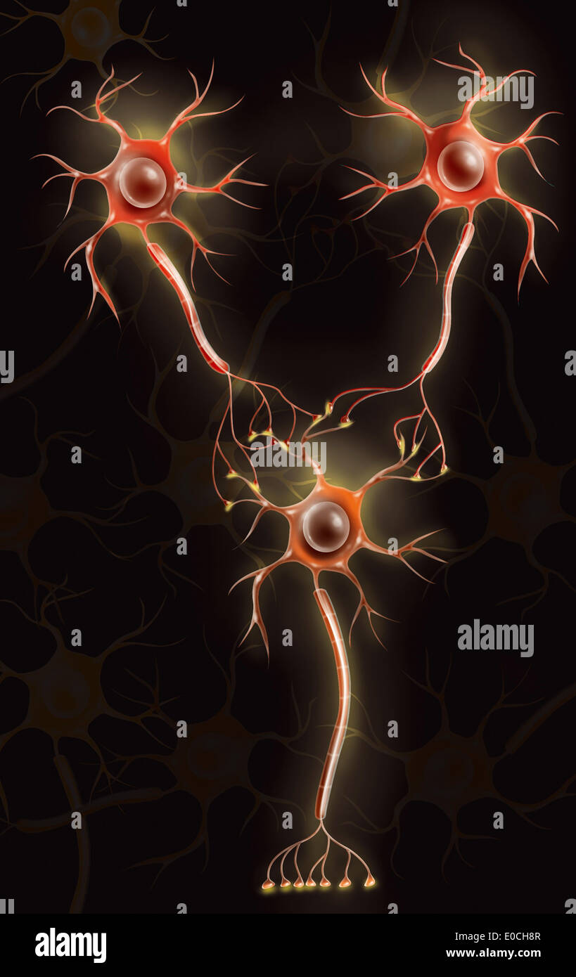 Neurona, dibujo Foto de stock