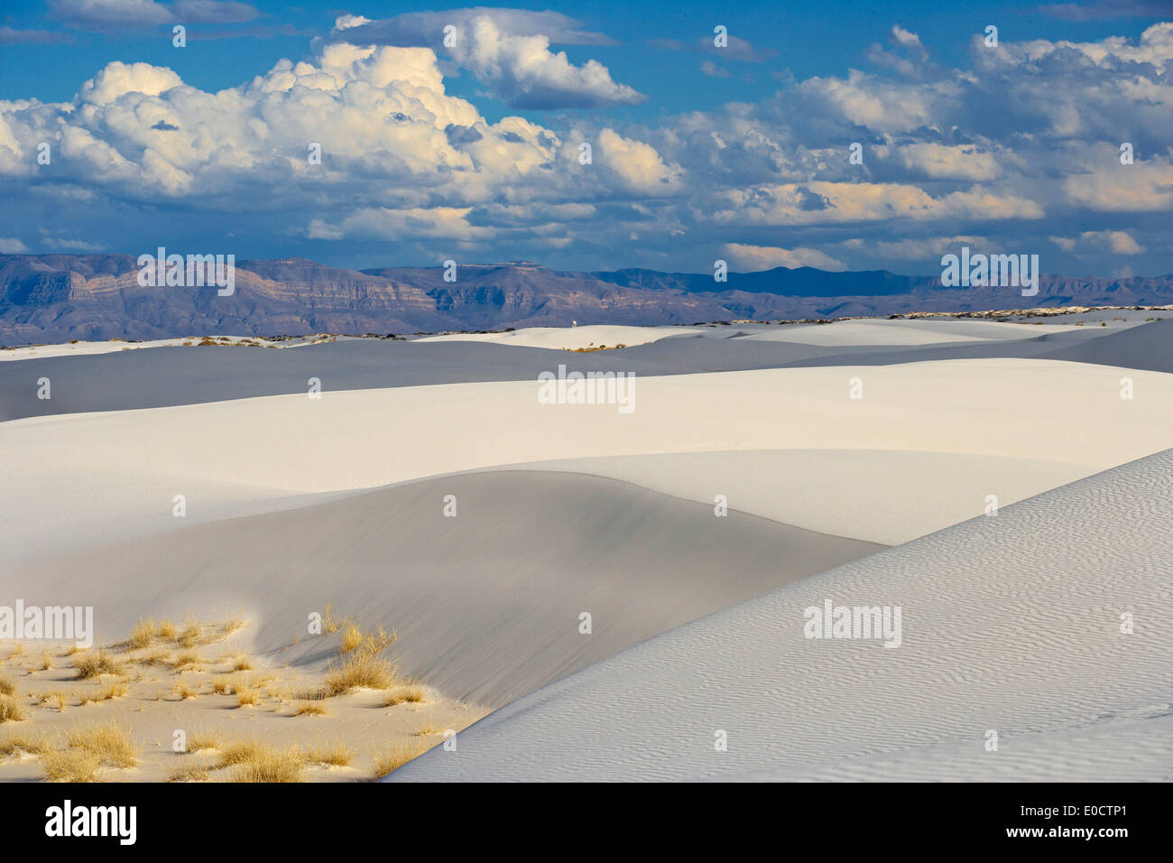 Monumento Nacional White Sands, Nuevo México, Estados Unidos, América Foto de stock