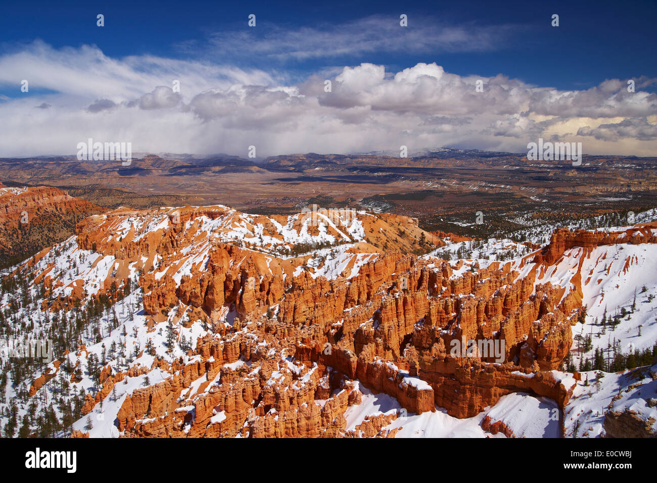 Vista desde Bryce Point en el Anfiteatro Bryce, Bryce Canyon National Park, Utah, EE.UU., América Foto de stock