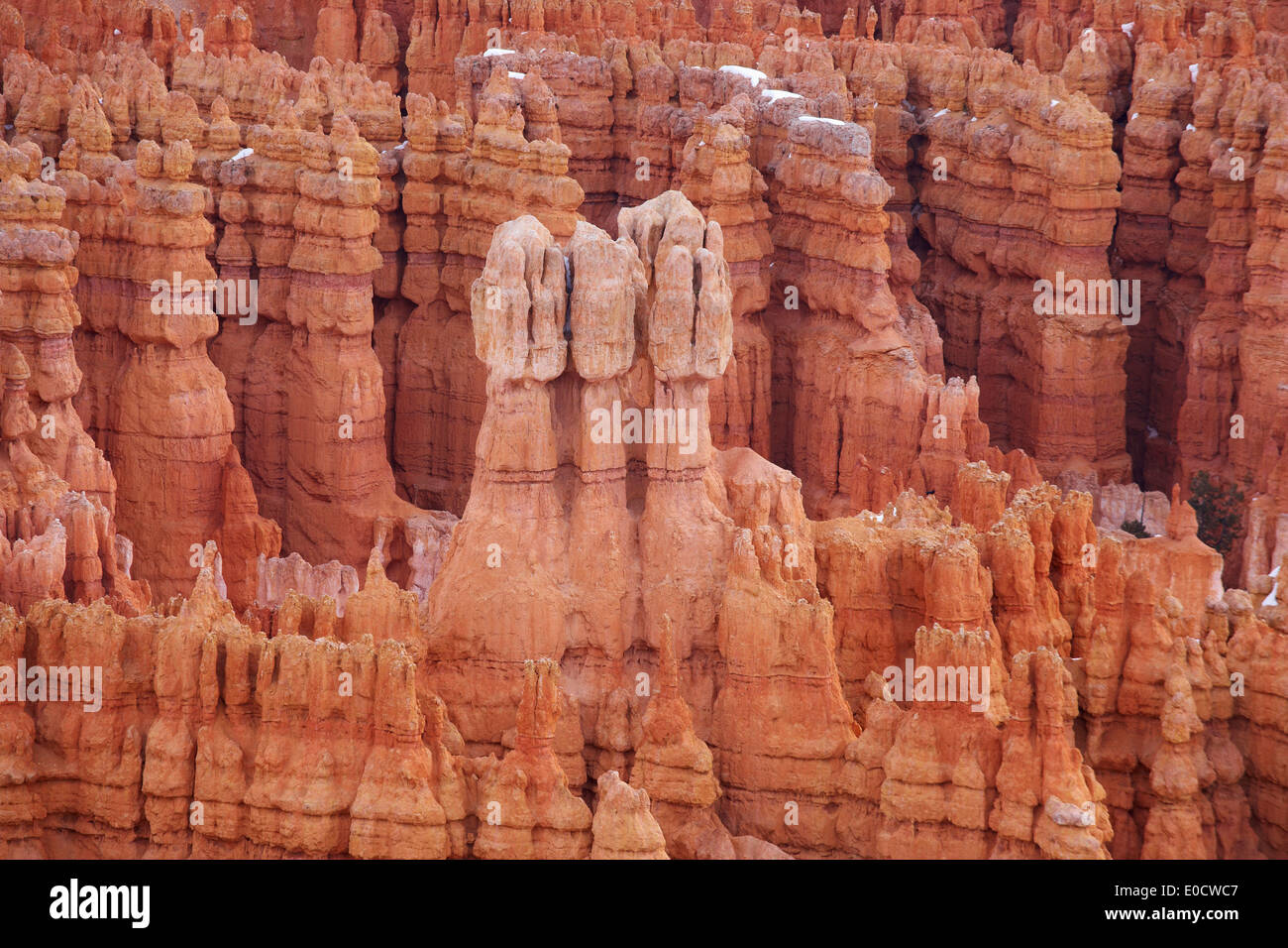 Vista desde el punto de inspiración en el Anfiteatro Bryce, Bryce Canyon National Park, Utah, EE.UU., América Foto de stock