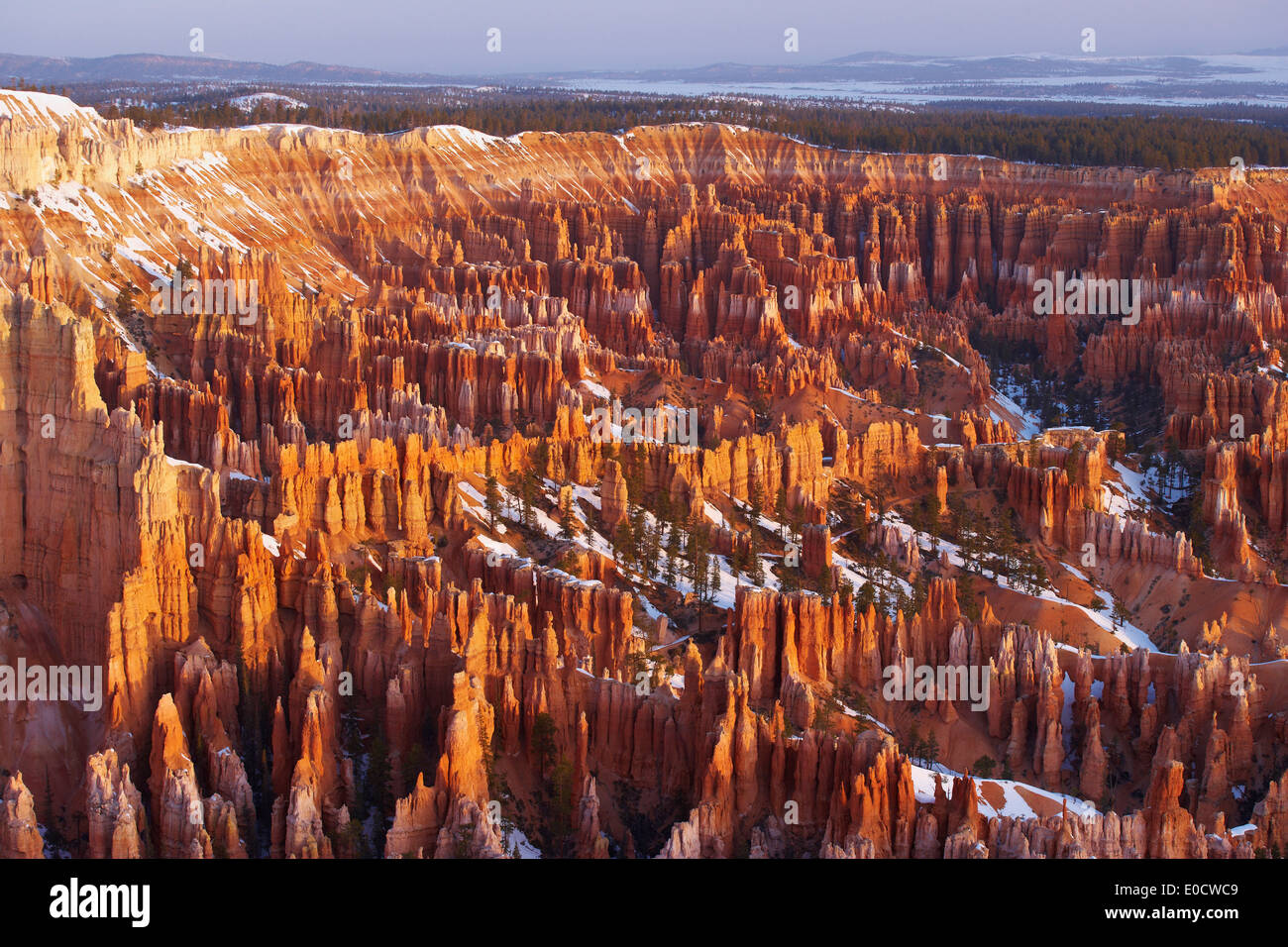 Vista desde Bryce Point en el Anfiteatro Bryce, Bryce Canyon National Park, Utah, EE.UU., América Foto de stock